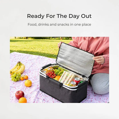 Person holding an open cooler bag with food and drinks on a picnic blanket outdoors.